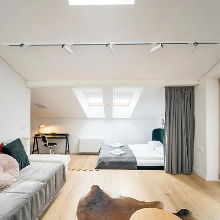 Apartment Superior In Centre With Terrace, Parking & Self Check-in Kaunas